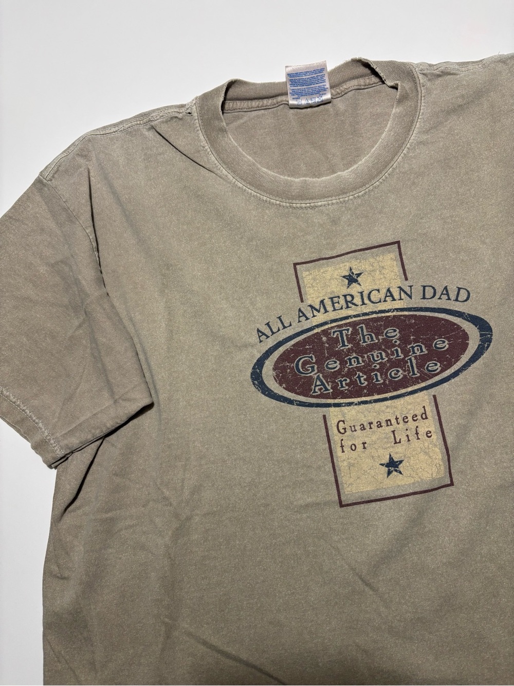 Gildan Earth Tone American Dad Cotton Faded Distressed T-Shirt